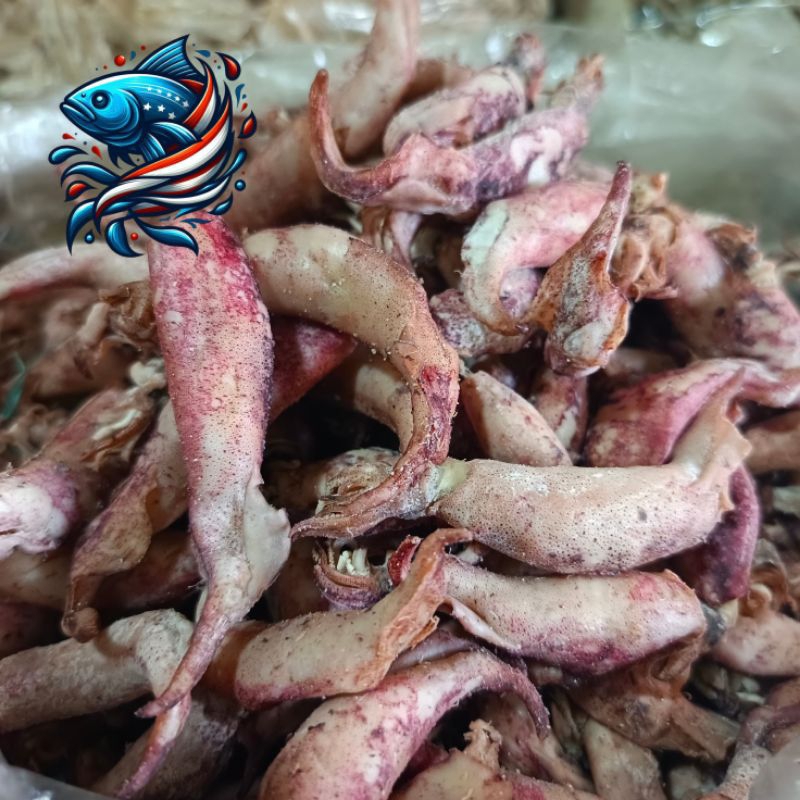 

Ikan cumi kering | Ikan cumi asin