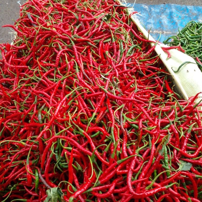 

Cabe keriting 1kg