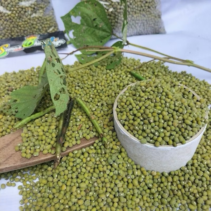 

Kacang Hijau Premium 1kg (Besar)