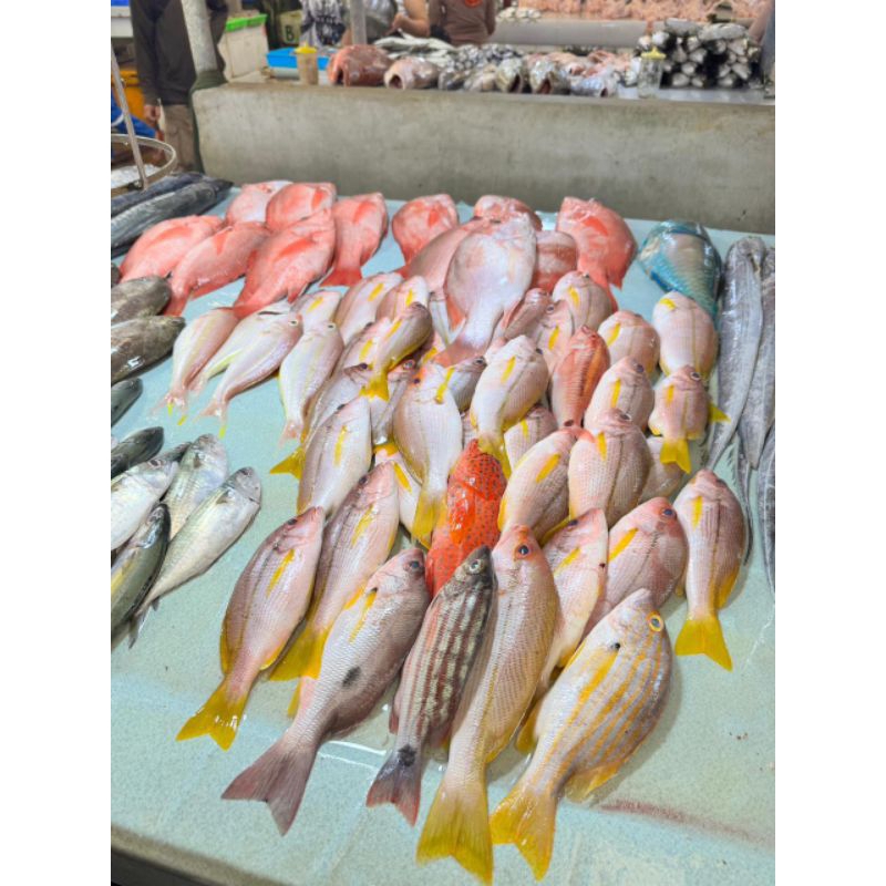 

Ikan ekor kuning 1kg