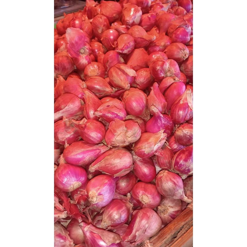 

Bawang Merah brebes 1kg