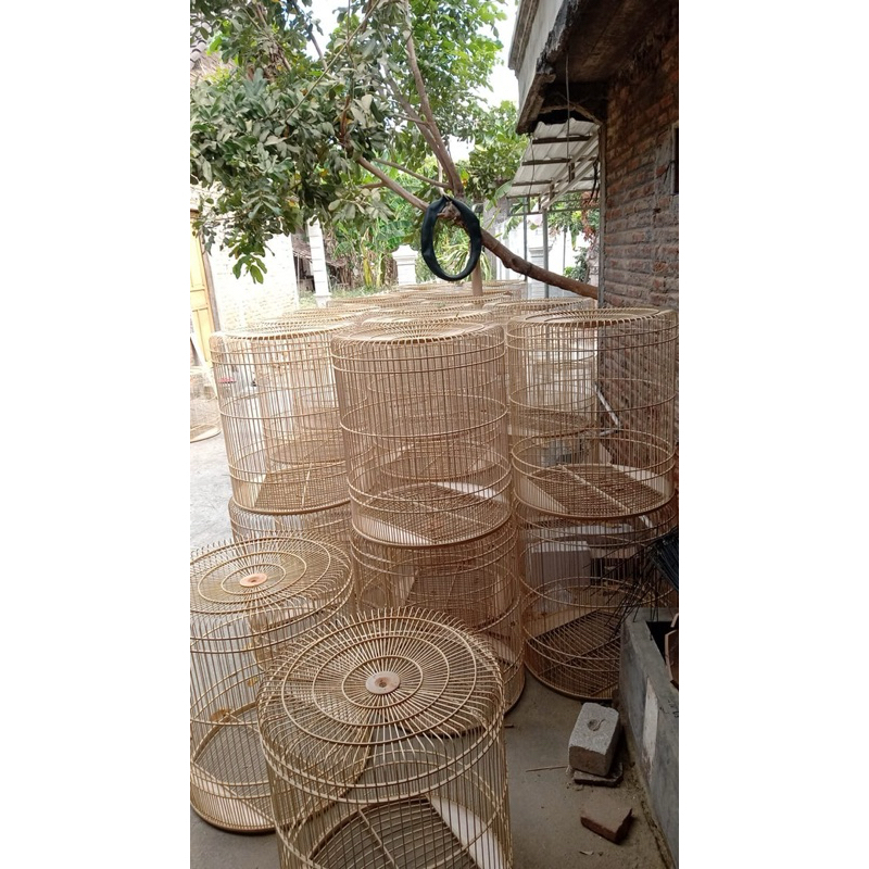 sangkar murai tanpa tebok (sangkar ambrukan)