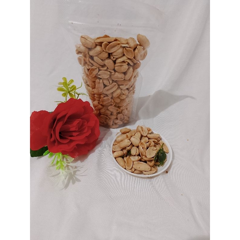 

KACANG DEWATA
