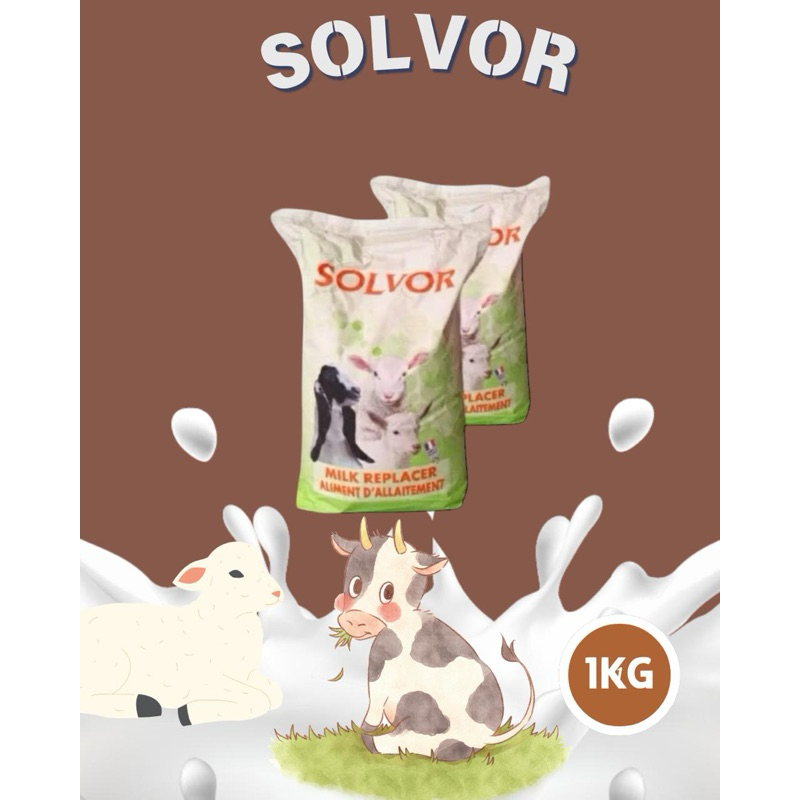 SUSU SOLVOR ORIGINAL SUSU PENGGANTI INDUK KAMBING DAN SAPI