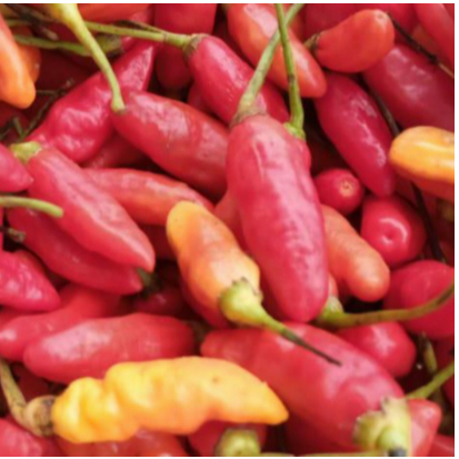 

cabe rawit merah 250 gr