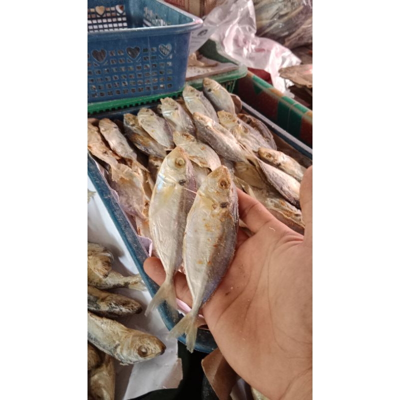 

ikan asin selar