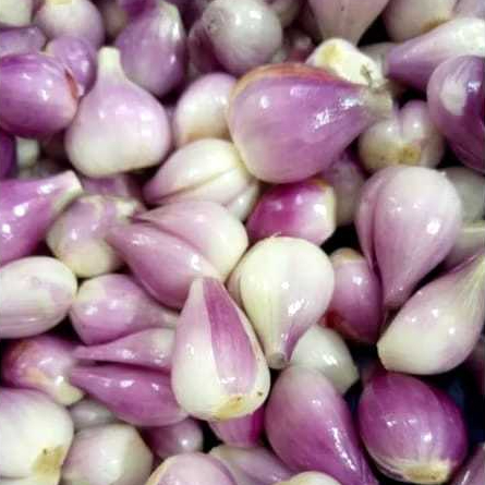 

Bawang Merah Kupas .