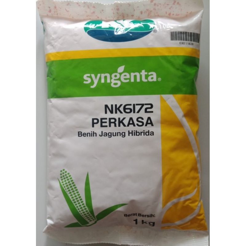 bibit jagung syngenta perkasa 6172