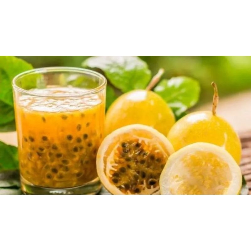 

markisa orange segar per 1 kg