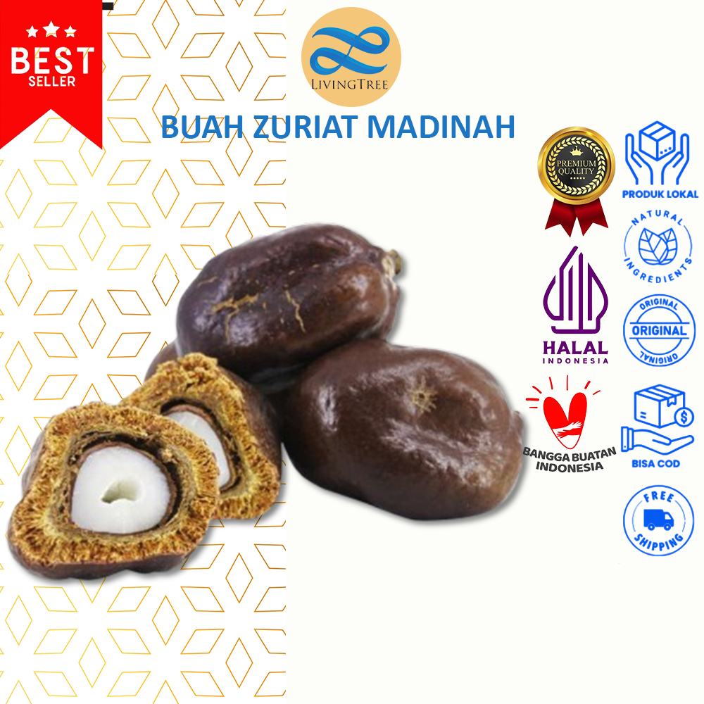 

500gr Buah Zuriat asli Madinah / Doum Asli program hamil