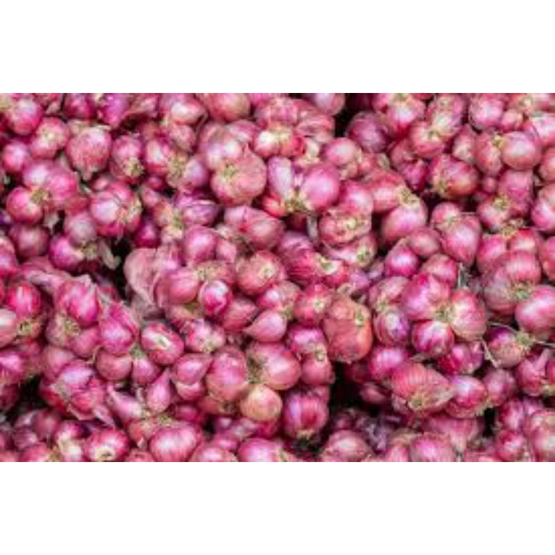 

bawang merah asli Brebes