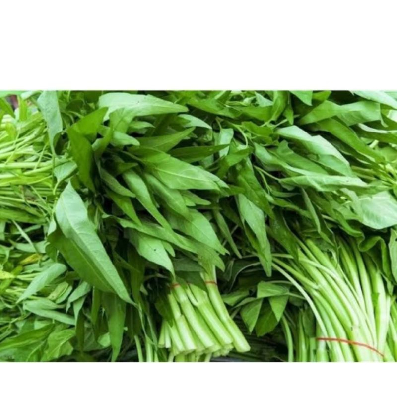 

Kangkung segar 1 ikat