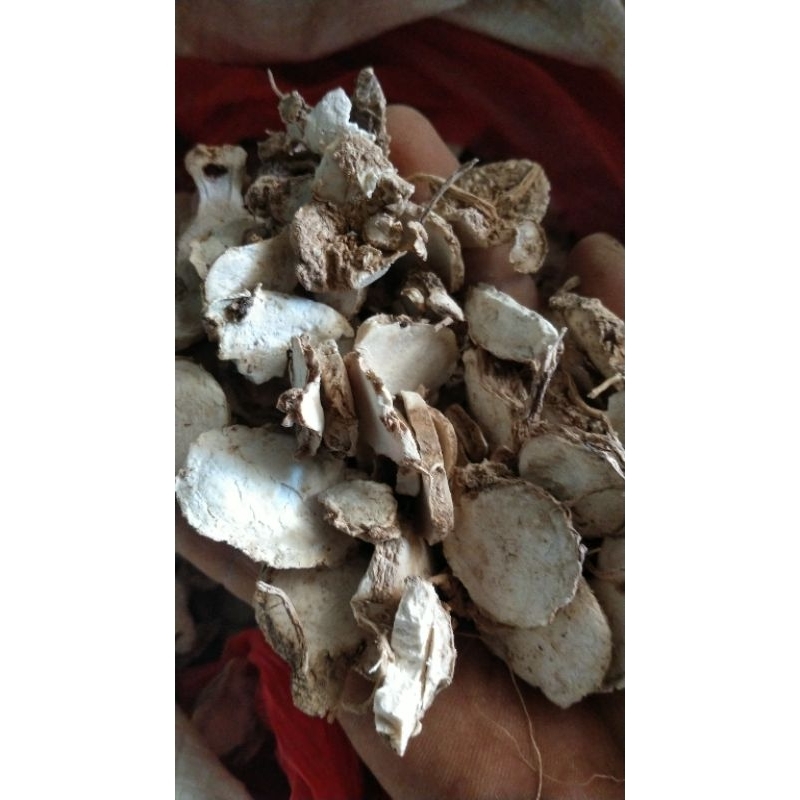 

biang kunyit gombyok kering 1 kg