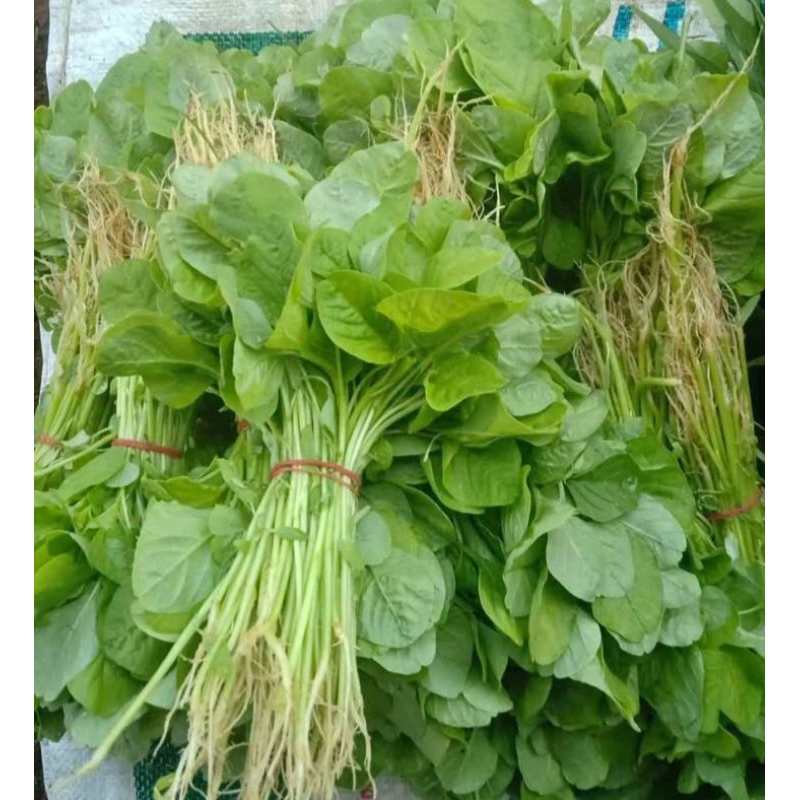 

Sayur Bayam / Bayam / Bayem / Sayuran Hijau / Sayur Sayuran Segar / Sayur Fresh / Makanan Sehat semarang