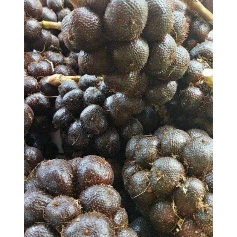 

SALAK 1kg