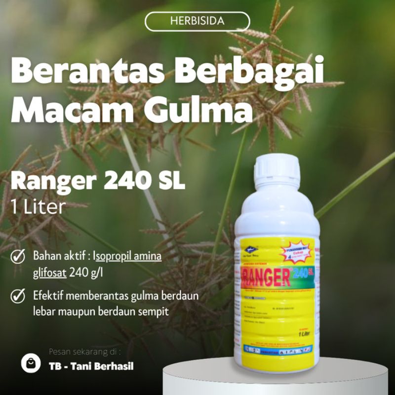 Herbisida Ranger 240SL 1L