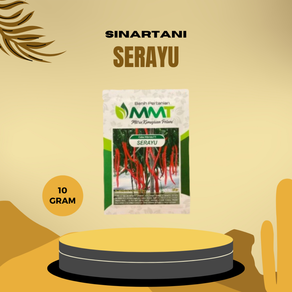 BENIH CABE MERAH KERITING SERAYU -10gram