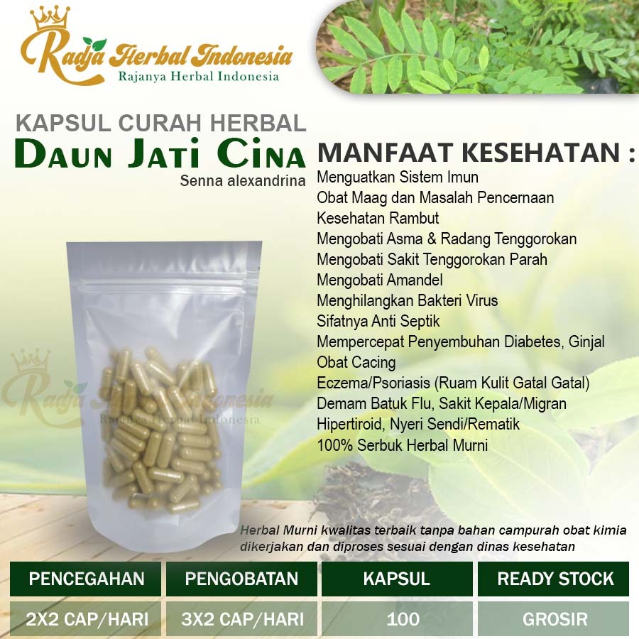 Kapsul Curah Herbal JATI CINA Pelangsing Metabolisme 100 casul