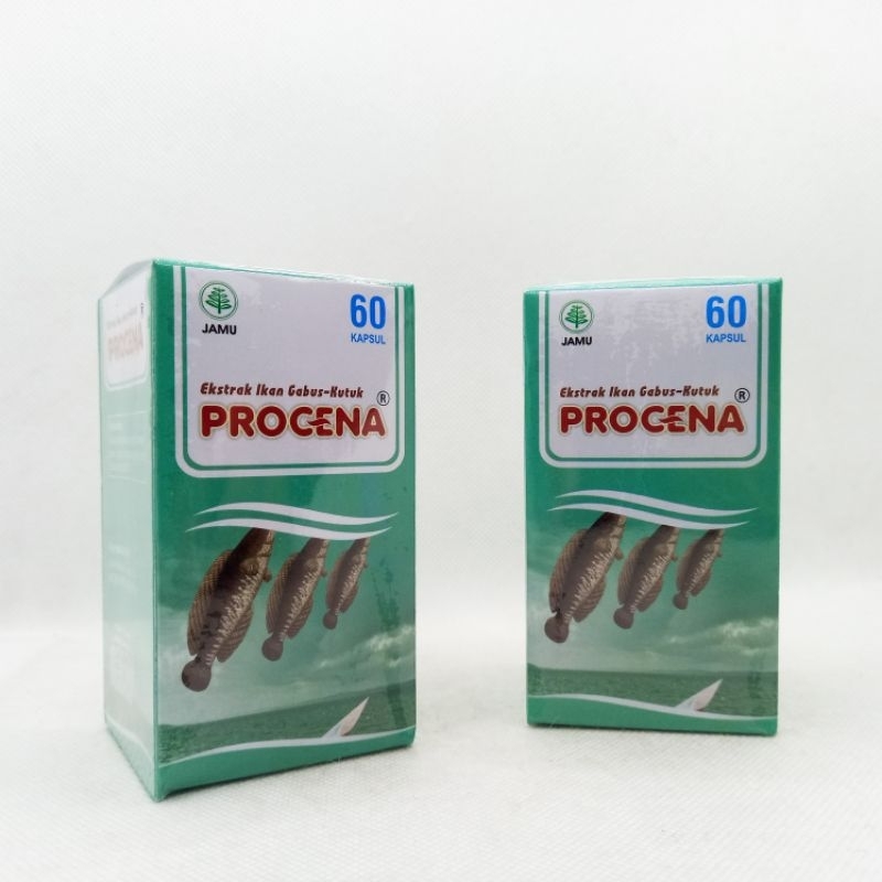 Procena Ekstrak Ikan Gabus Kutuk 60 Kapsul Obat Ampuh Penyembuhan Luka Original