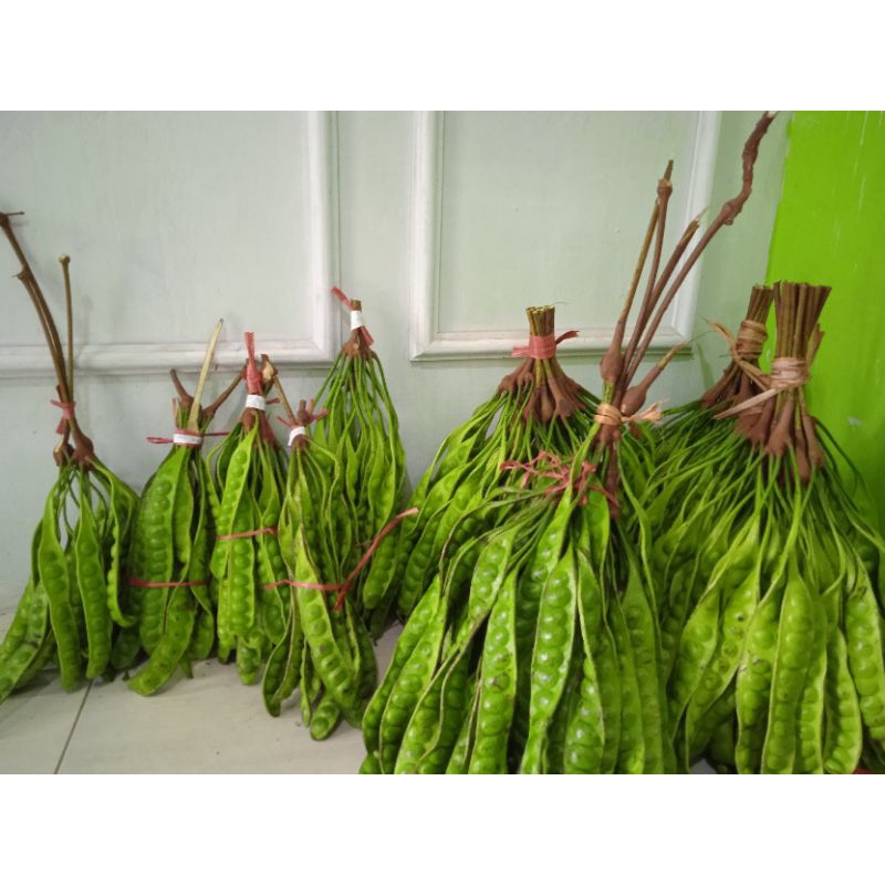 

PROMO PETE/PETAI FRESH SUPER 10 LONJOR (1IKAT) 10RB