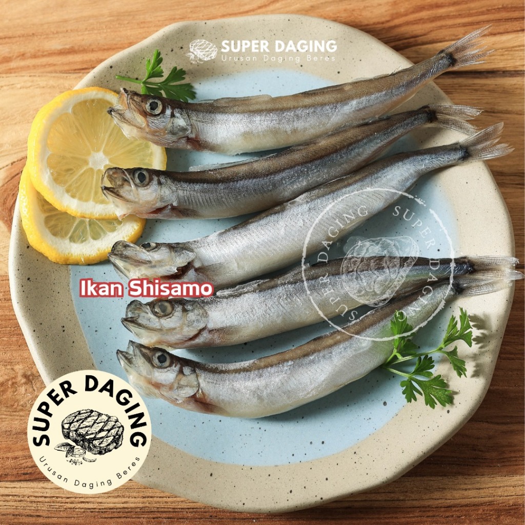 

Ikan Shisamo Cipung Tinggi Omega 3 - Super Daging Bandar Lampung