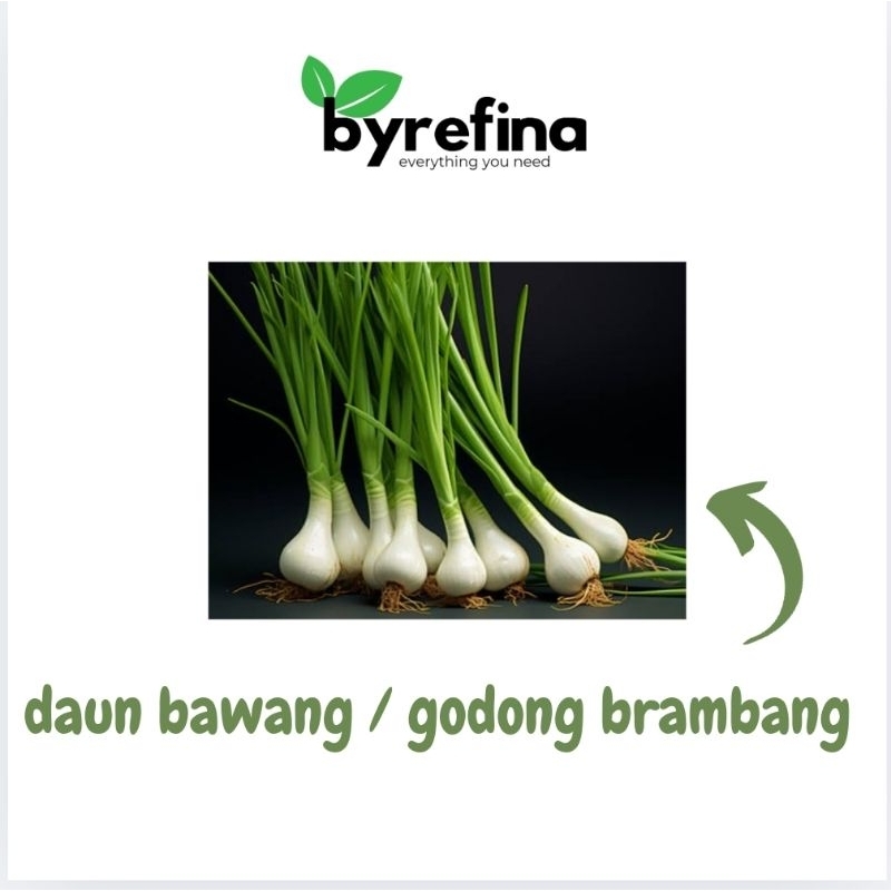

Daun Bawang Kecil 100gr - 1kg Surabaya / Byrefina