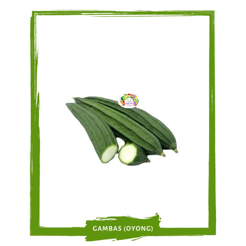 

Gambas (Oyong) / Sayur Segar By Sayur Mallah