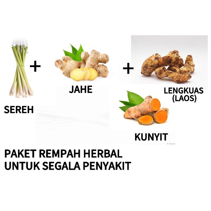 

Rempah Herbal Paket 1 Kg Herbal Obat Segala Penyakit