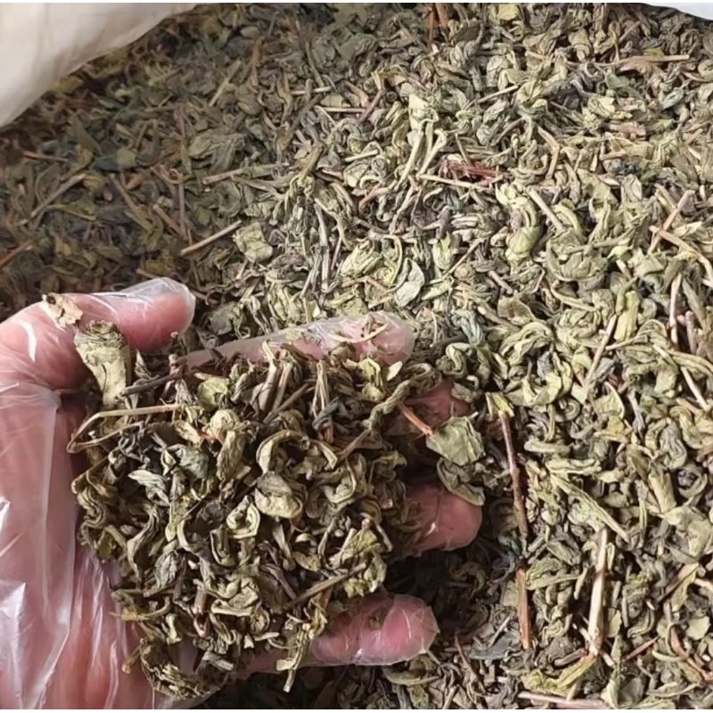 

teh hijau kering kualitas bagus 1kilo/green tea kering