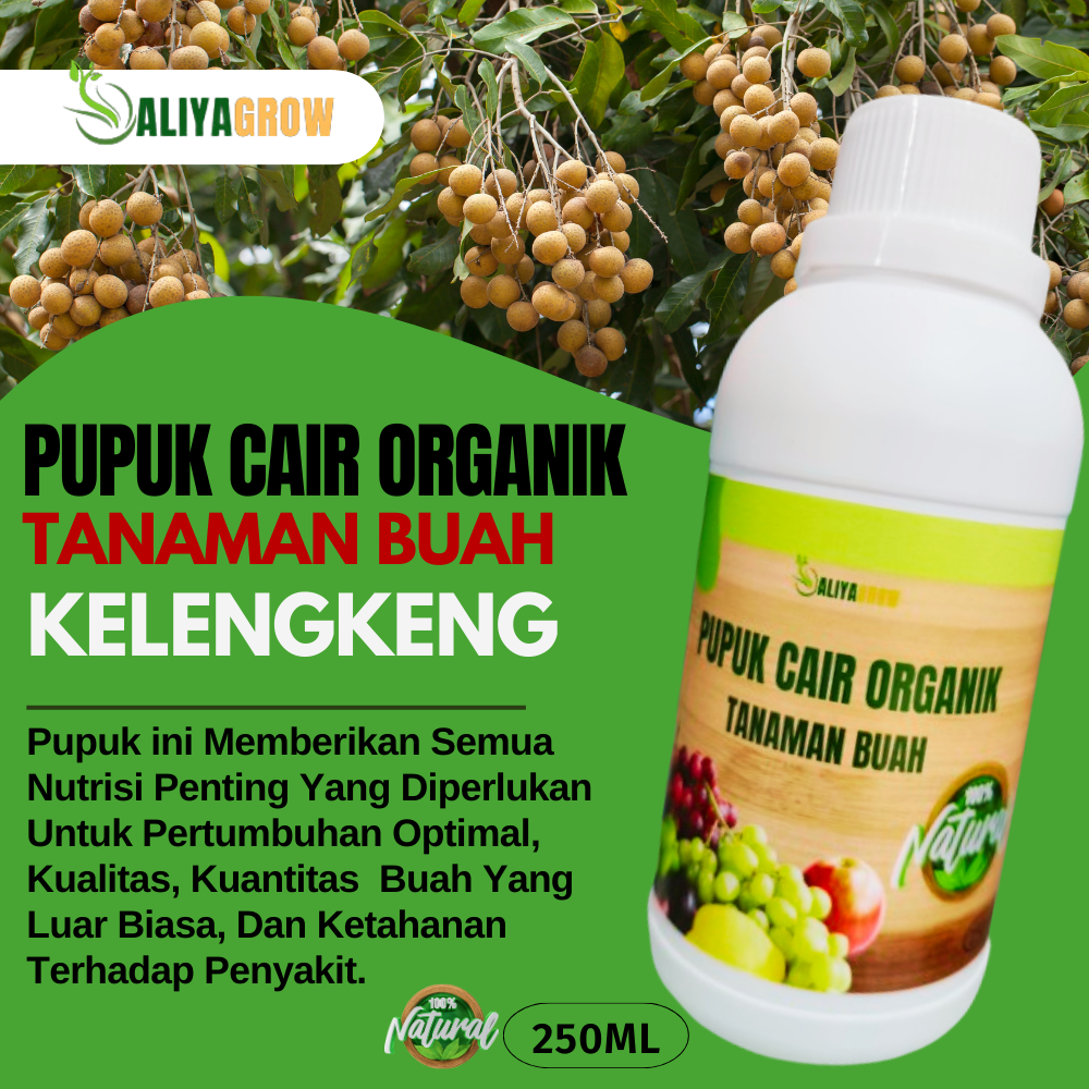 pupuk buah kelengkeng/pupuk booster kelengkeng/pupuk kelengkeng cepat berbuah/pupuk cair kelengkeng