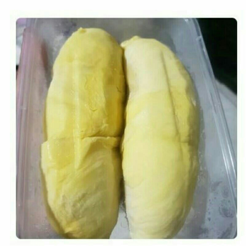 

Durian Montong Super Premium //DURIAN MONTONG SUPER PREMIUM 500 GR PALU LOKAL TERBAIK