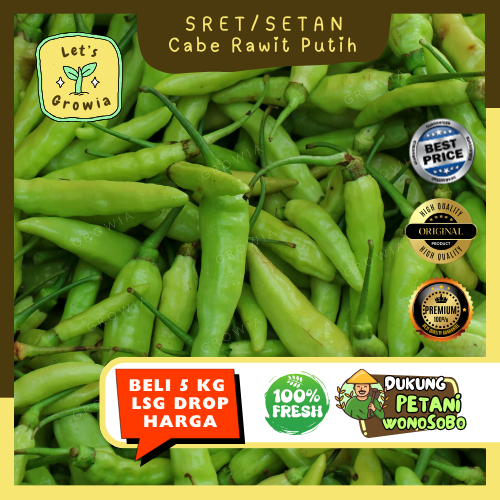 

Growia | Cabe Cabai Rawit Putih -- Hasil Petani Langsung Ecer Sayur Gunung (H)