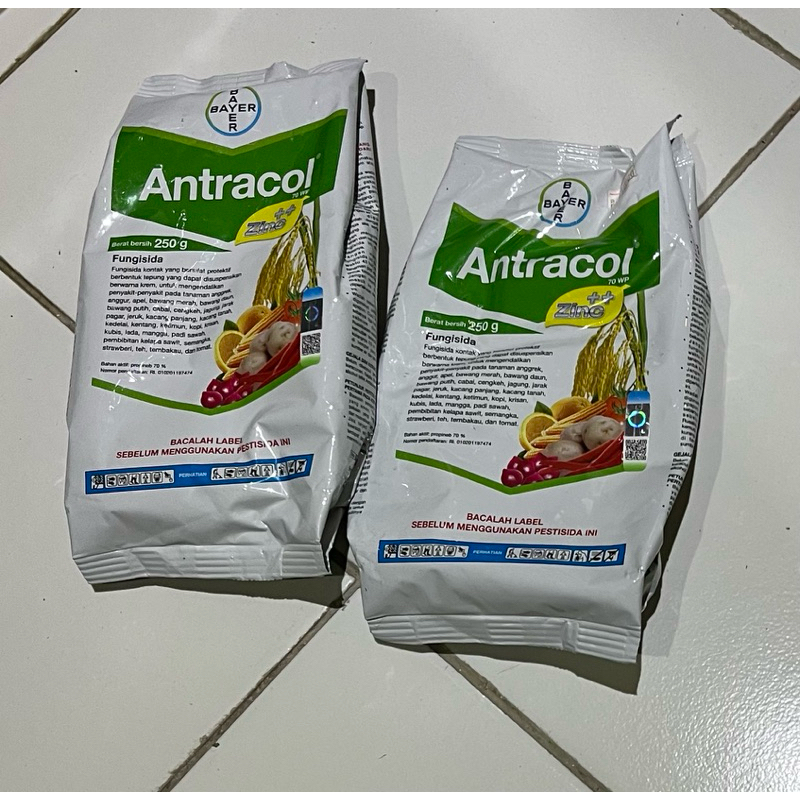 ANTRACOL FUNGISIDA,OBAT JAMUR TANAMAN