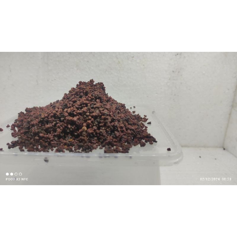 Pasir malang 1000gram untuk ikan channa, Aquascape