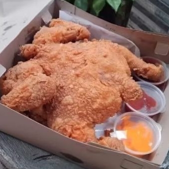 

Ayam 1 Ekor Bischick