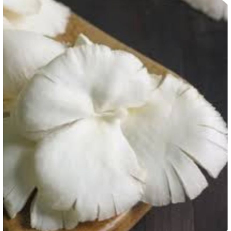 

JAMUR TIRAM SEGAR RP 8000 / 250 GRAM