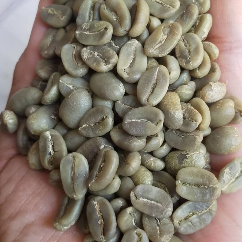 

GREEN BEANS KOPI ARABIKA ARGOPURO FULL WASH GRADE 1