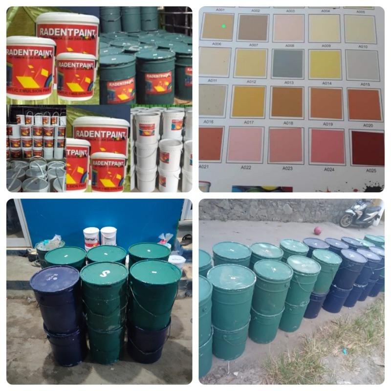 Cat Tembok Luar & Dalam Ruangan Raden Paint