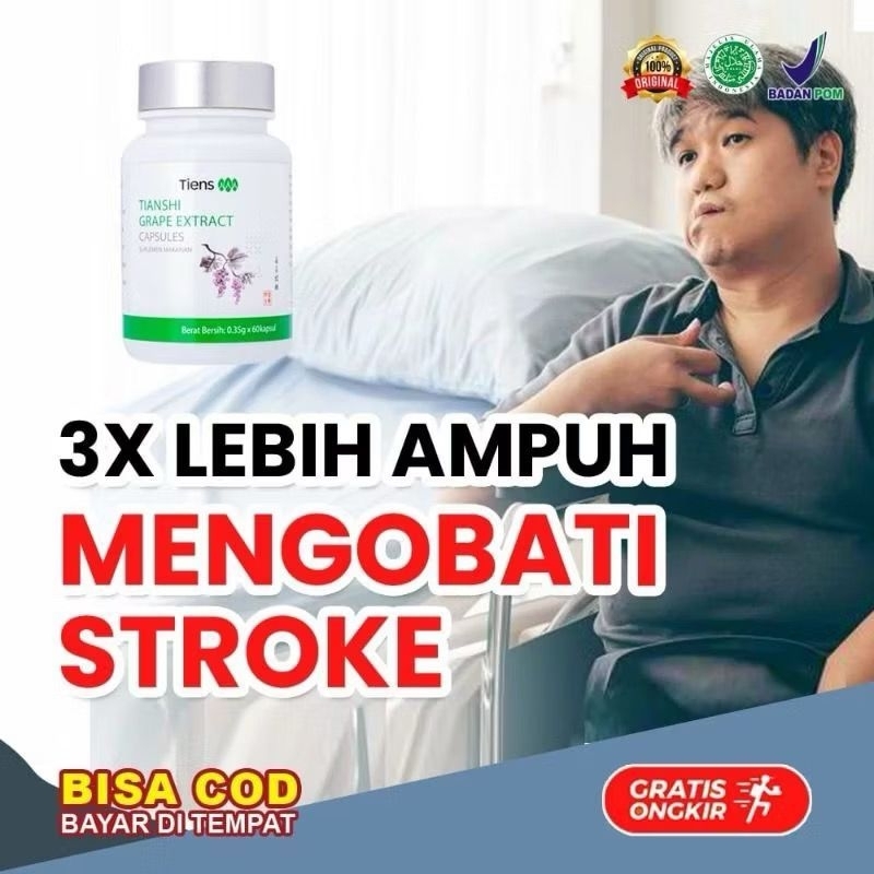 

Paket Lengkap stroke herbal alami - Penyumbatan dan pemecahan tiens