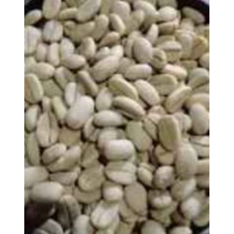 

1.000 butir bibit kopi ateng super