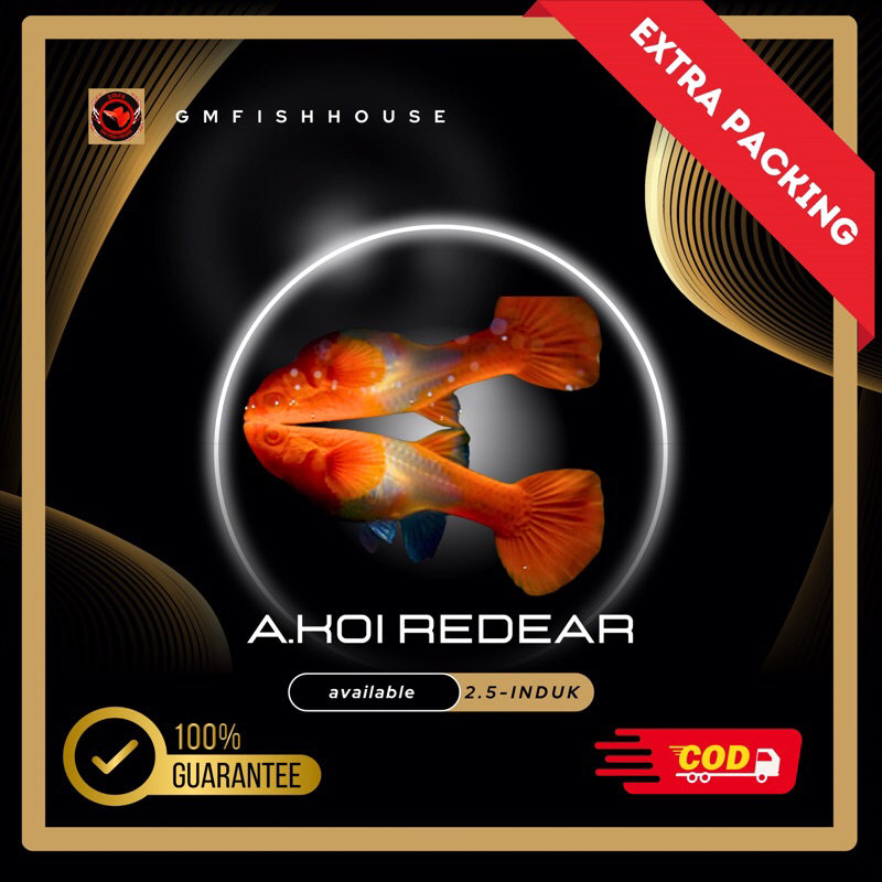 Stiker Guppy Albino koi red ear