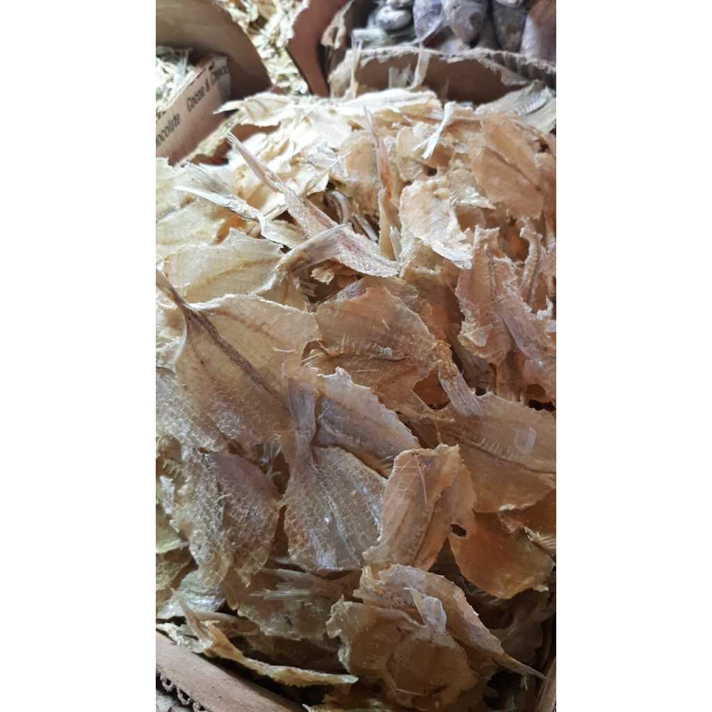 

IKAN KAPASAN TAWAR 1KG