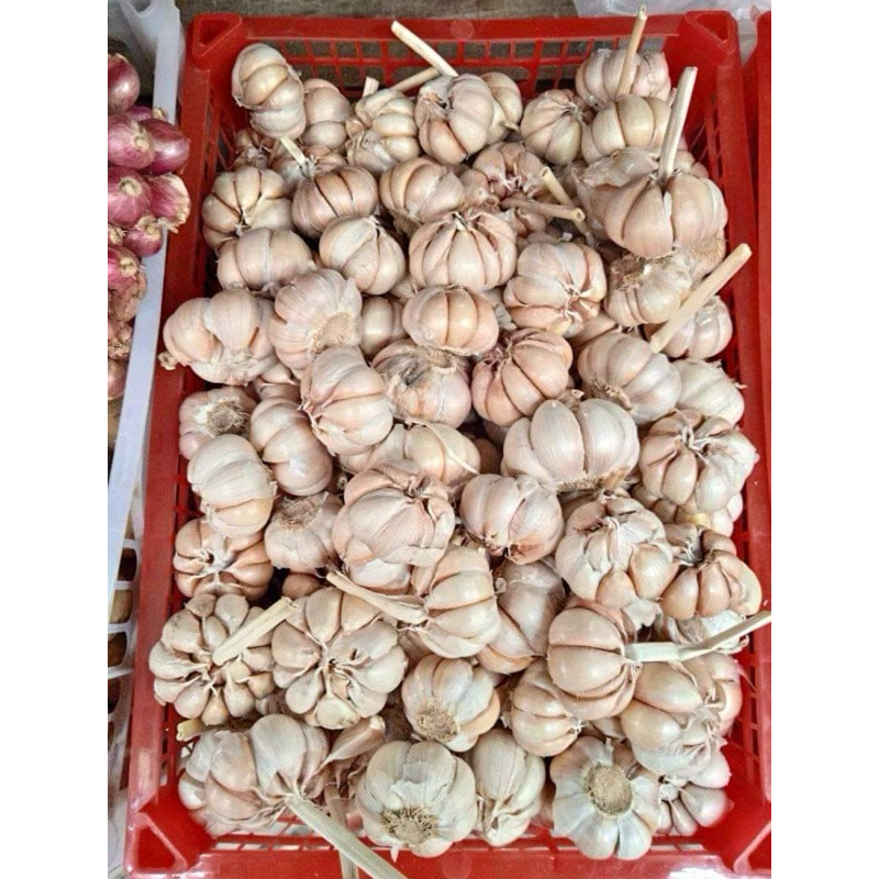 

Bawang Putih per 1 kg