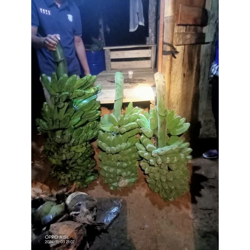 

pisang kepok 1 sisir ful tua grad A berat 2-3 kg