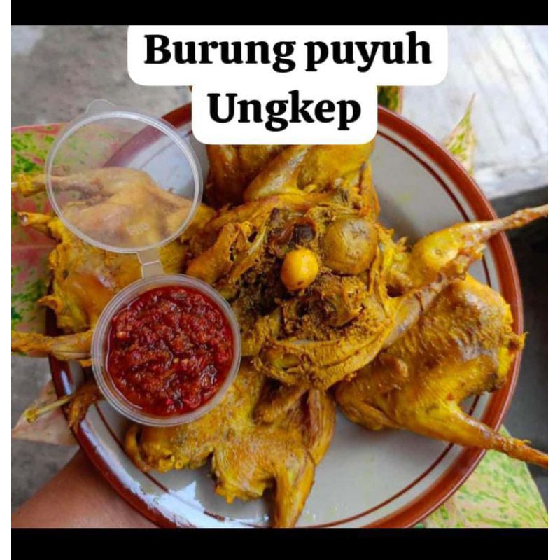 

Puyuh ungkep