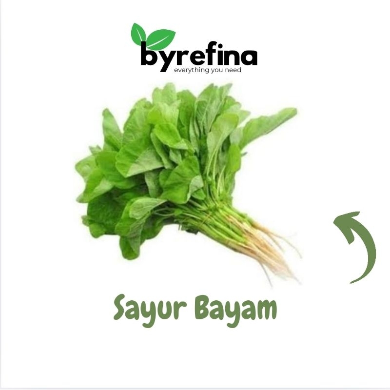 

Sayur Bayam 1 ikat Surabaya / Byrefina
