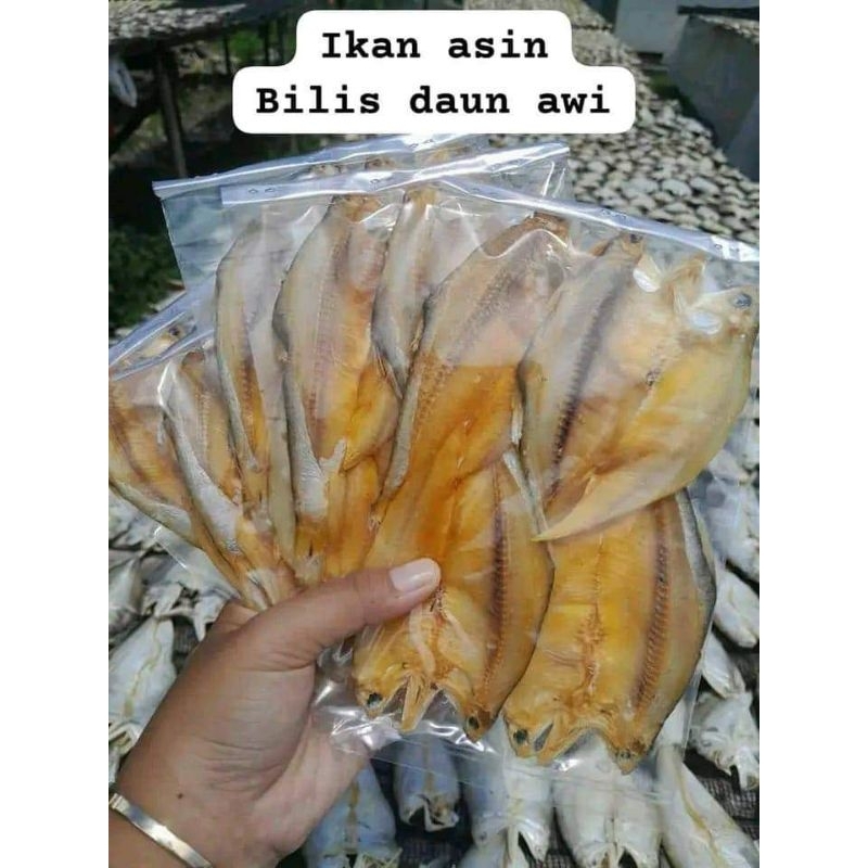 

TERMURAH IKAN ASIN PANGANDARAN