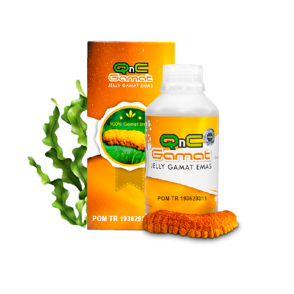 

Obat Maag & Asam Lambung, Tukak lambung, Radang lambung, Perut begah - Ekstrak teripang qnc gamat