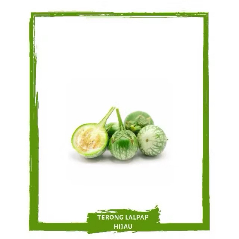 

Terong Lalap Bulat Hijau / Sayur Segar By Sayur Mallah