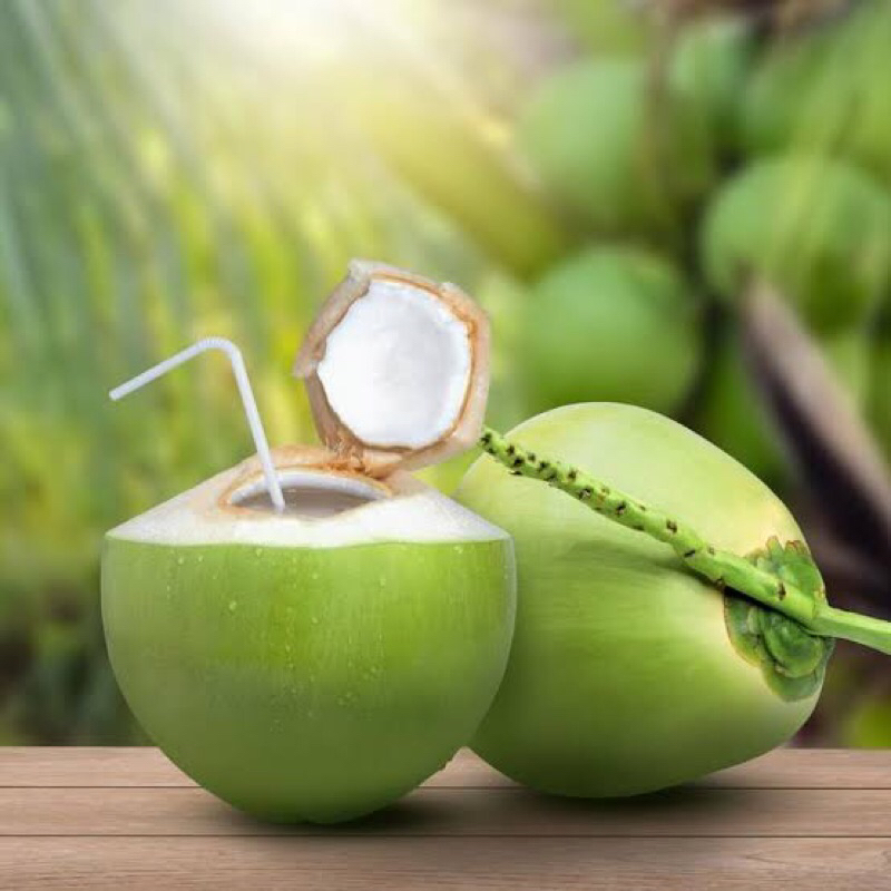 

degan / kelapa muda fresh